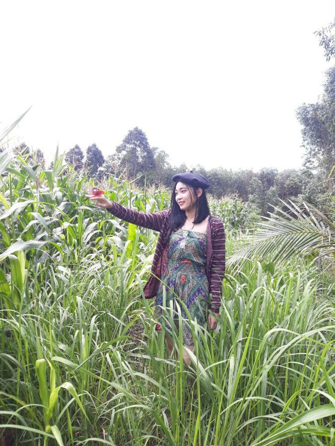Cat Tien Farmer Lodge Quan Tom Экстерьер фото